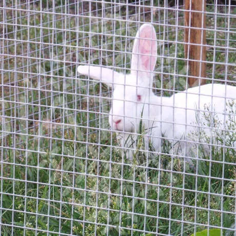 Breeding net (welded)