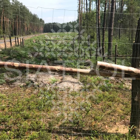 Galeria realizacji ogrodzeń leśnych