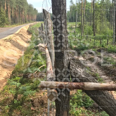 Galeria realizacji ogrodzeń leśnych