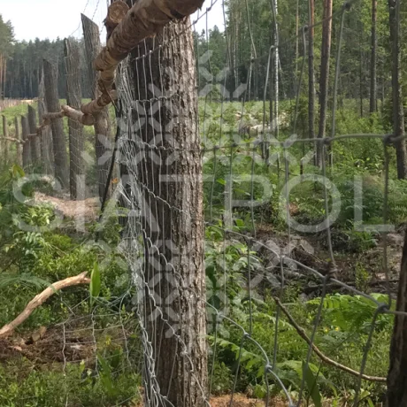 Galeria realizacji ogrodzeń leśnych