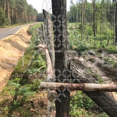 Galeria realizacji ogrodzeń leśnych