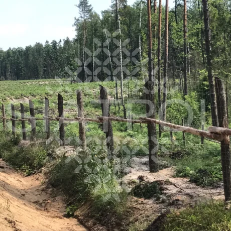 Galeria realizacji ogrodzeń leśnych