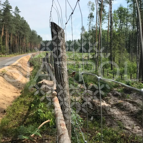 Galeria realizacji ogrodzeń leśnych