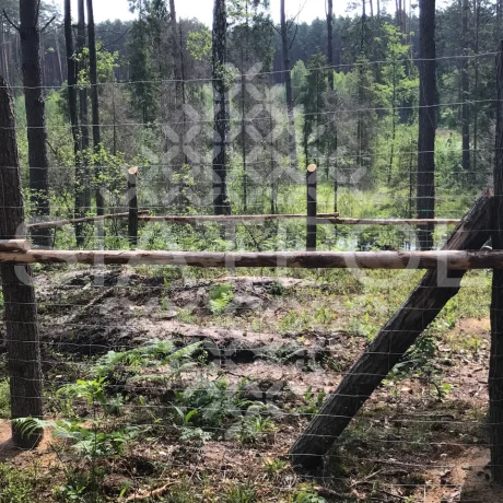 Galeria realizacji ogrodzeń leśnych