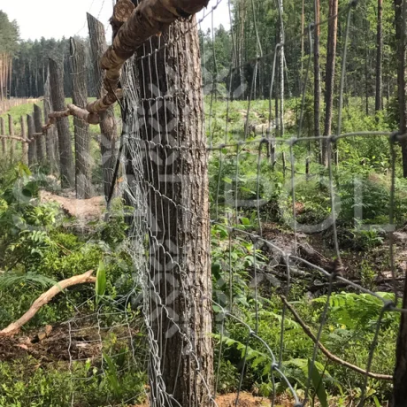 Galeria realizacji ogrodzeń leśnych